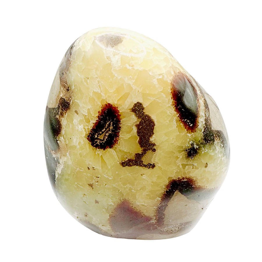 Septarian Stone