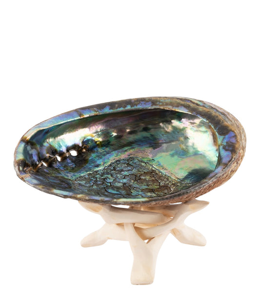 Abalone shell with stand
