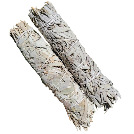 XL White Sage Sticks